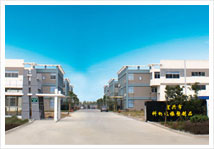 ���˿�����������Ʒ